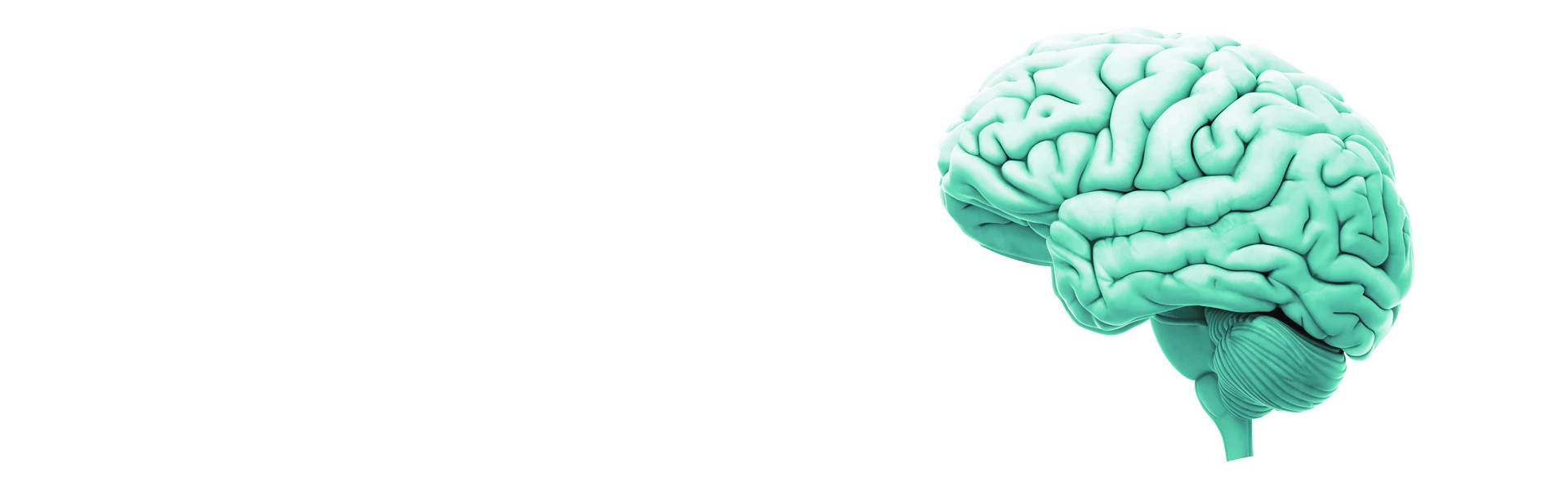8001-TBI-whitepaper-web-banner_subpage_updated