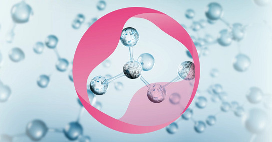 biotech_survey_whitepaper_standard_banner