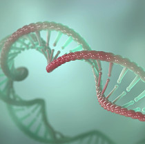 CancerCells_DNA_print version.jpg