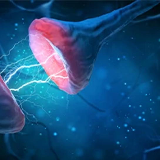 central-nervous-system