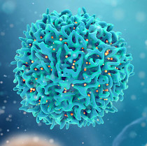 Clinical_Oncologist_Blogs_thumbnail3.jpg Clinical_Oncologist_Blogs_thumbnail3.jpg