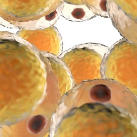 Diabesity_obesity_diabetes_blog thumbnail Diabesity_obesity_diabetes_blog thumbnail