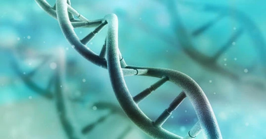 DNA-helix DNA-helix