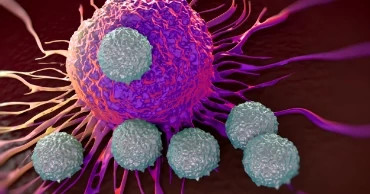 Immuno-Oncology-co-therapies Immuno-Oncology-co-therapies