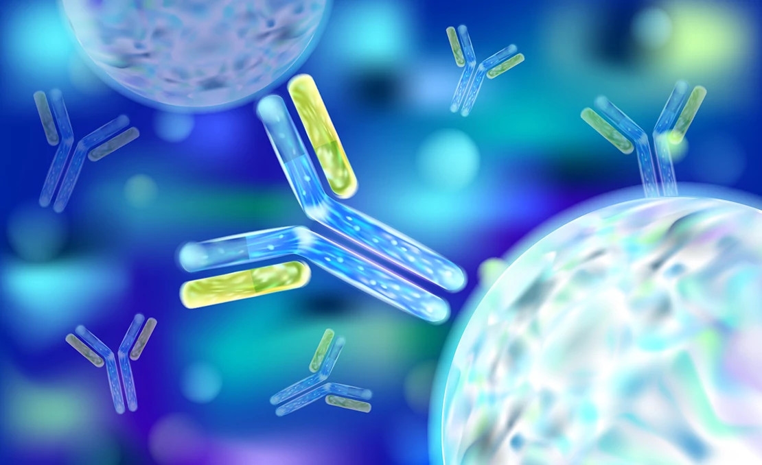 immunogenecity immunogenecity