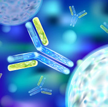 immunogenecity immunogenecity