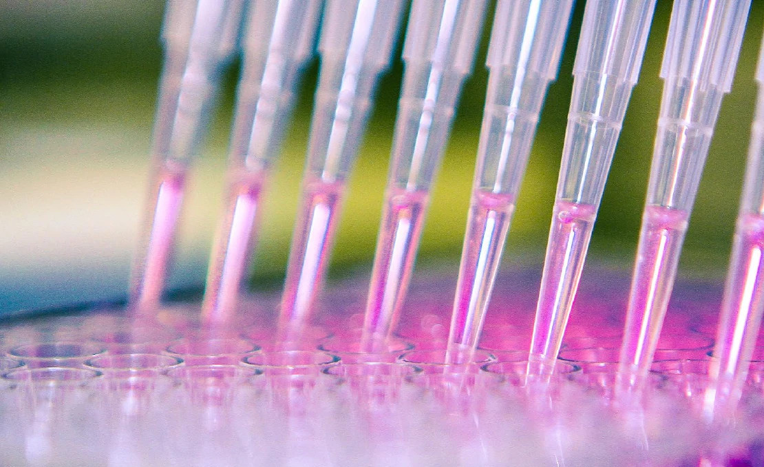 lab sampling lab sampling