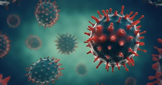 infected-cell