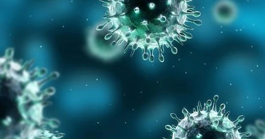 Infectious Diseases cell image