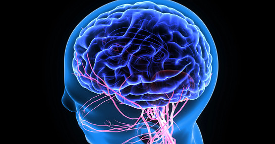 iStock_medical imaging_brain_CNS aerial view_629144774 iStock_medical imaging_brain_CNS aerial view_629144774
