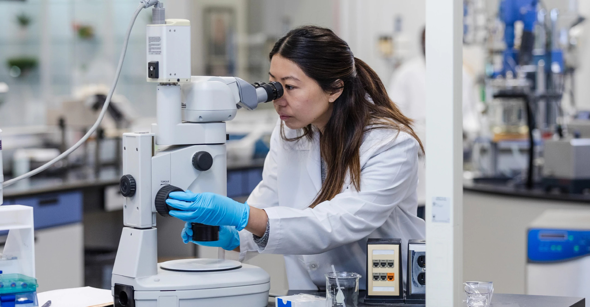 woman looking into microscope in lab woman looking into microscope in lab