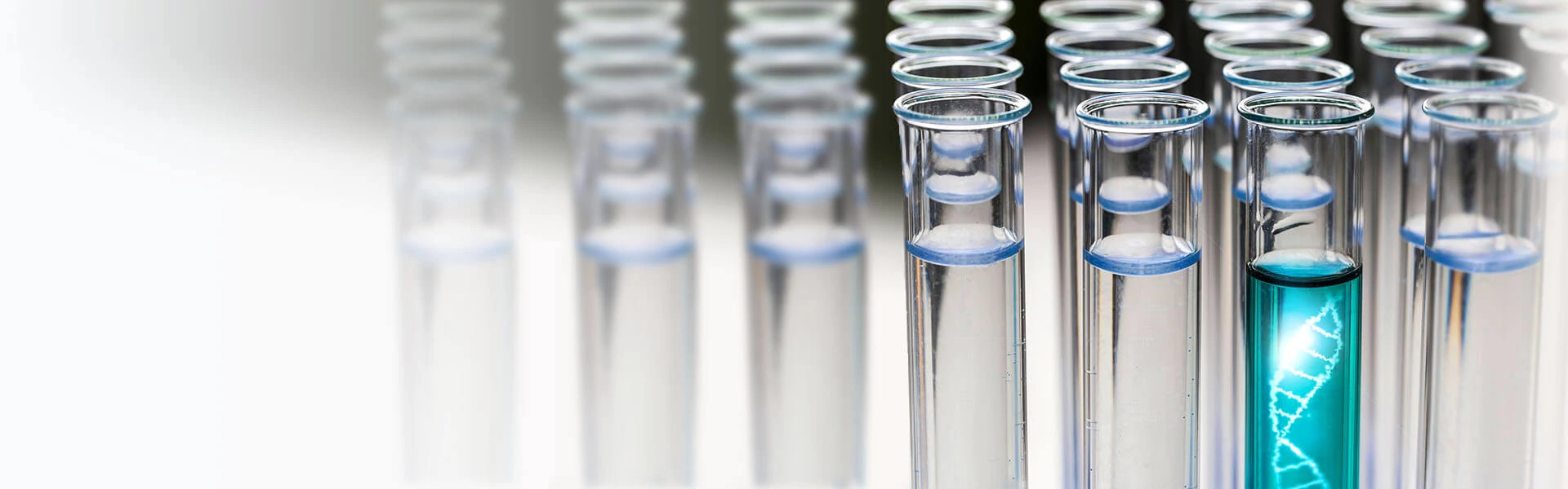 Precision_medicine_2-copy