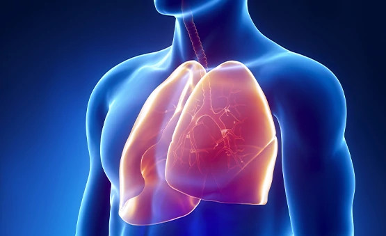 Respiratory-website-image-555x339 Respiratory-website-image-555x339