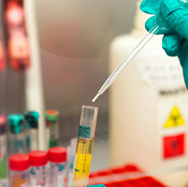 lab sampling lab sampling