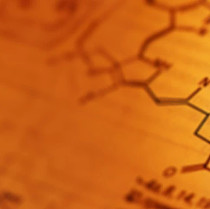 signet-website-content.jpg signet-website-content.jpg