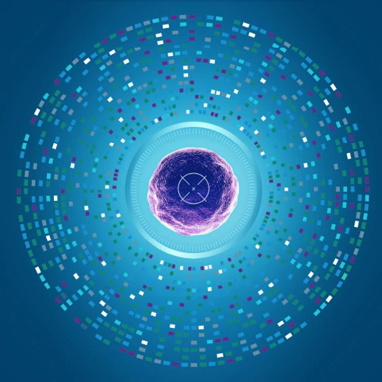 Oncology survey report web assets