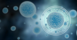 Technologies-homepage banner.jpg