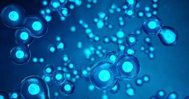 therapeutic-cells therapeutic-cells
