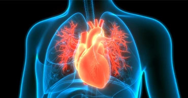 therapeutics-cardiovascular therapeutics-cardiovascular