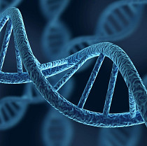 DNA DNA