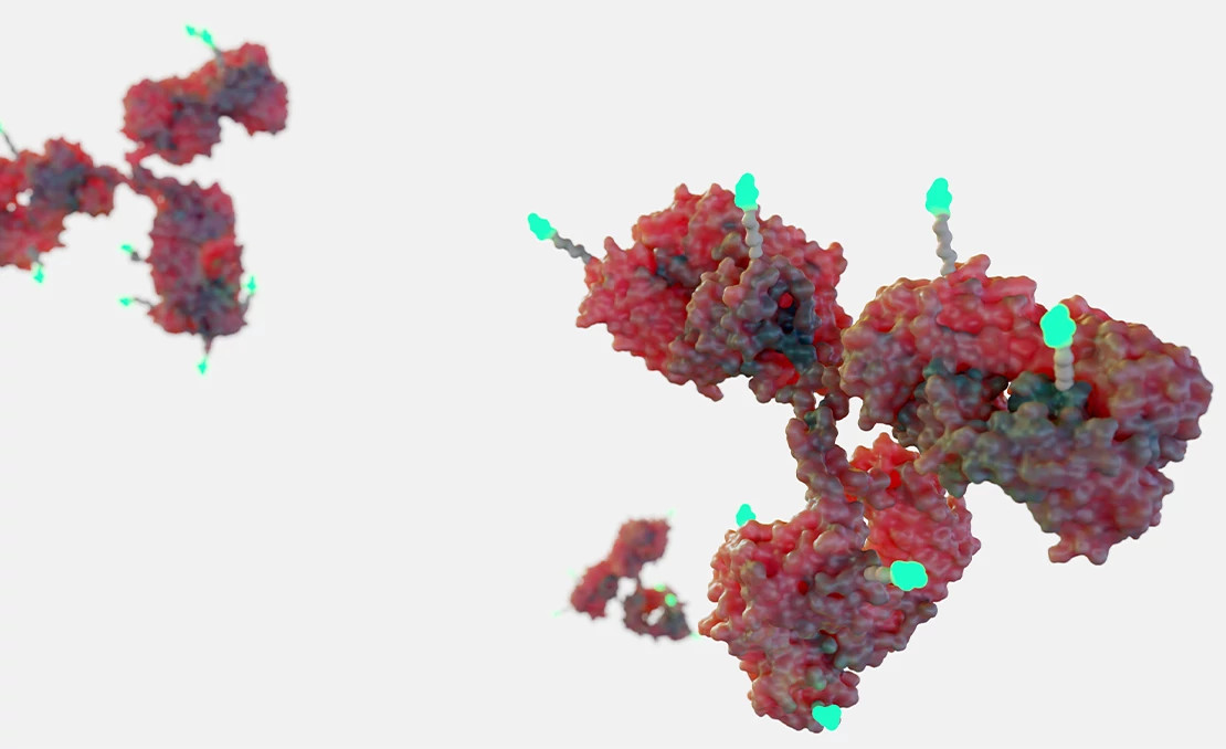ACDs mollecule ACDs mollecule
