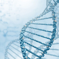 DNA DNA