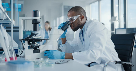 lab microscope lab microscope