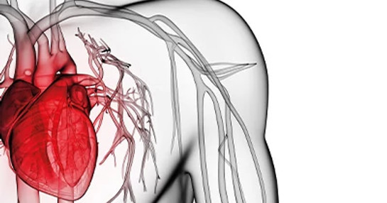 uuid_710f087f-4ec4-4c1a-9ef7-f33261fb7c7f_cardiovascular