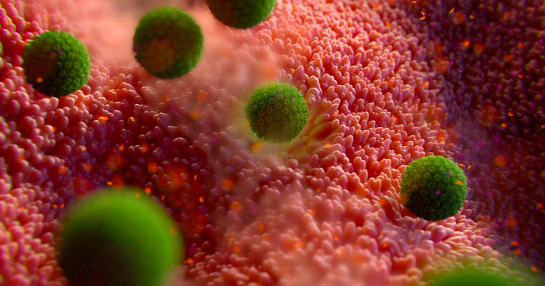 Virus in the Stomach Virus in the Stomach