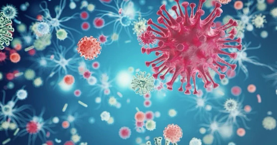 viruses-insights viruses-insights