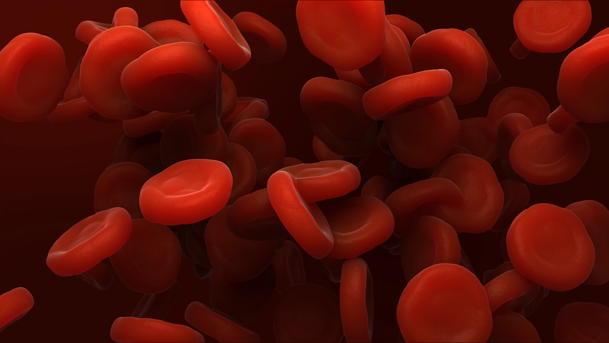 blood_cells_002 blood_cells_002