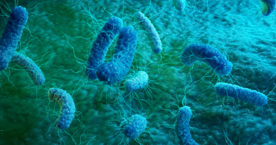 fortifying-vaccines-against-future-infectious-home-page-banner