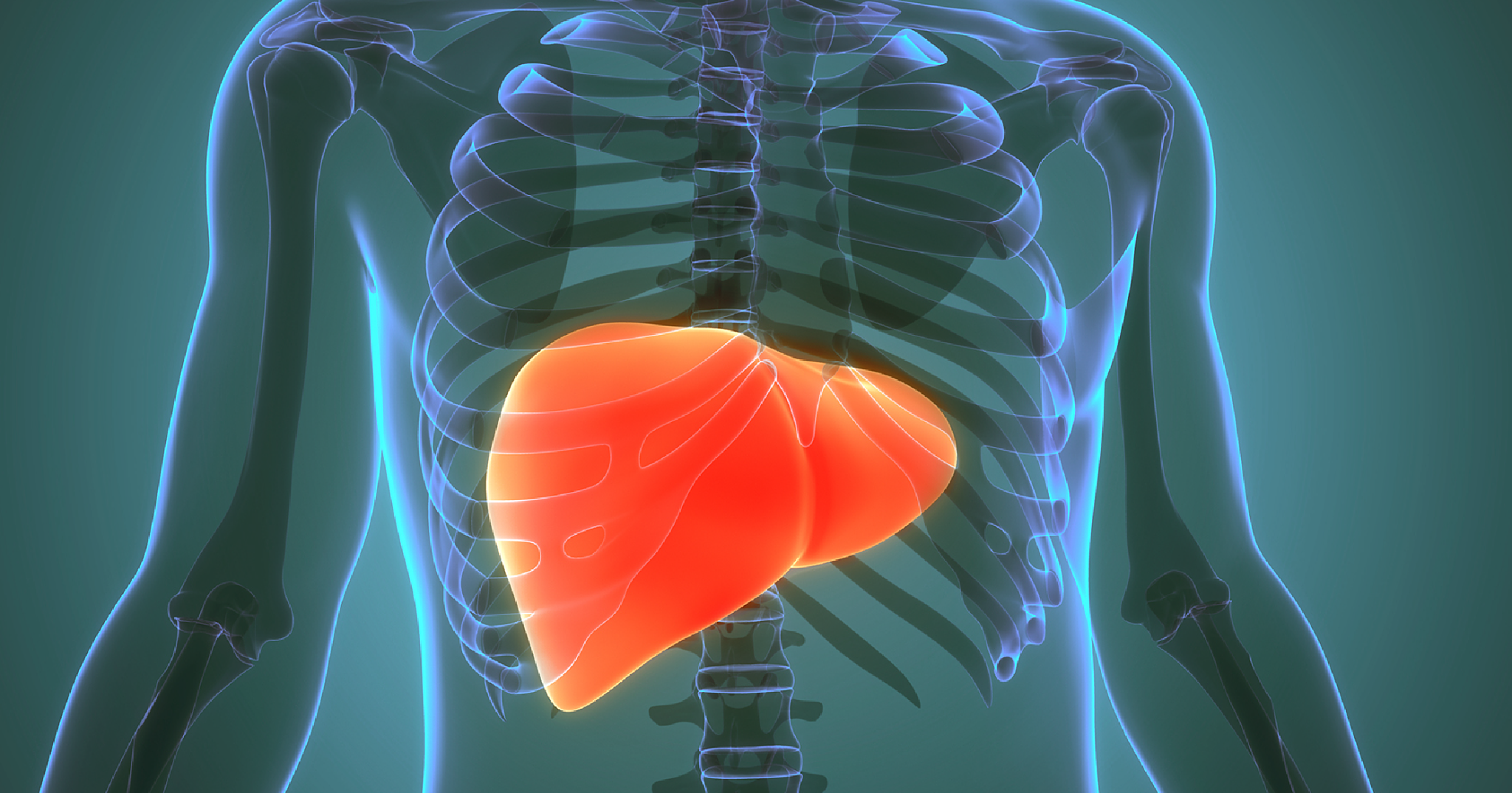 Obesity and metabolic-dysfunction associated steatotic liver disease. Obesity and metabolic-dysfunction associated steatotic liver disease.