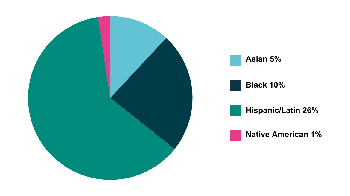 pie chart with the diversity in the study pie chart with the diversity in the study